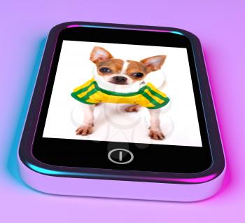 Cute Chihuahua Dog On Mobile Smartphone