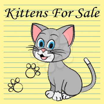Kittens For Sale Representing Domestic Cat To Buy