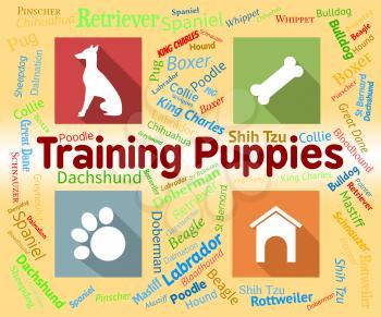 Training Puppies Indicating Dogs Pups And Skills