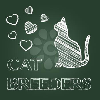Cat Breeders Meaning Pet Breeds And Mating