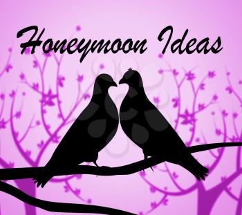Honeymoon Ideas Representing Decision Places And Plans