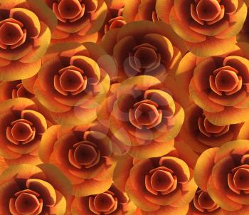 Roses Background Indicating Flower Bloom And Template