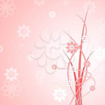 Background Pink Meaning Flora Floral And Petal