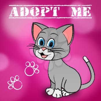 Adopt Cat Meaning Felines Kitty And Pedigree