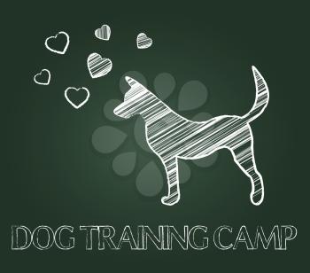 Dog Training Camp Showing Instruction Taught And Canine