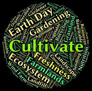 Cultivate Word Meaning Sows Farm And Text