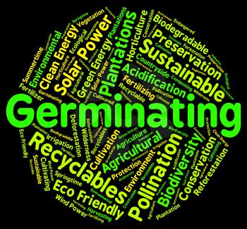 Germinating Word Showing Sows Farm And Cultivates