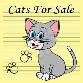 Cats For Sale Showing Pet Pedigree And Kitty