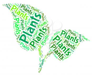 Plants Word Representing Foilage Botany And Text