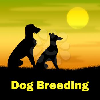 Dog Breeding Representing Offspring Canine And Night