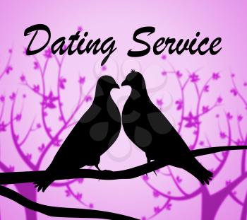 Dating Service Representing Web Site And Searching