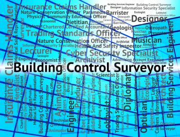 Building Control Surveyor Meaning Hiring Job And House