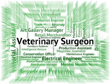 Veterinary Surgeon Showing General Practitioner And Surgeons