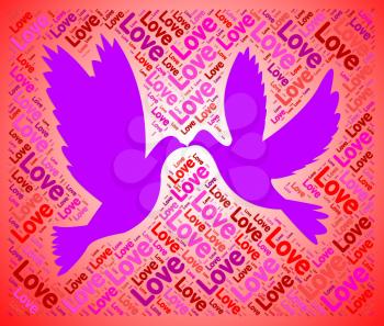 Love Doves Meaning Lover Heart And Romance