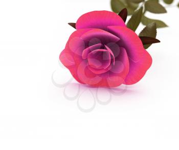 Rose Copyspace Showing Valentine Romantic And Romance