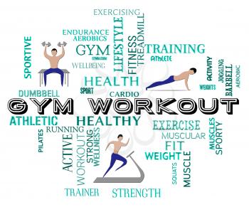 Gym Workout Representing Physical Activity And Fitness