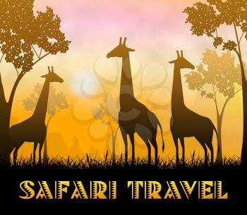 Safari Travel Giraffes Showing Wildlife Reserve 3d Illustration