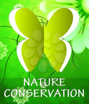 Nature Conservation Butterfly Cutout Shows Preservation 3d Illustration