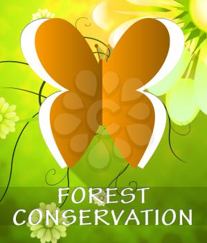 Forest Conservation Butterfly Cutout Shows Preservation 3d Illustration