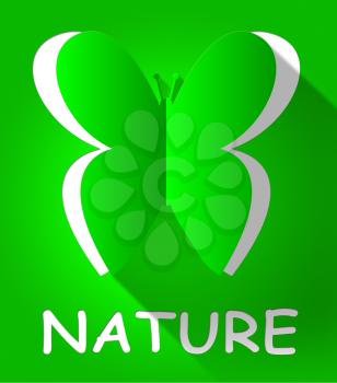 Nature Butterfly Cutout Shows Scenic Outdoors 3d Illustration