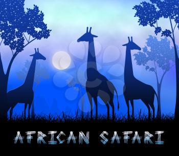 African Safari Giraffes Showing Wildlife Reserve 3d Illustration