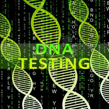 Dna Testing Helix Shows Genes Research 3d Illustration