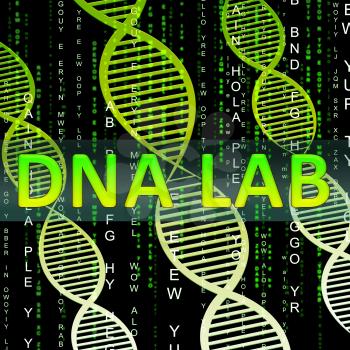 Dna Lab Helix Shows Biotechnology Labratories 3d Illustration