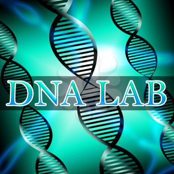 Dna Lab Helix Shows Biotechnology Labratory 3d Illustration