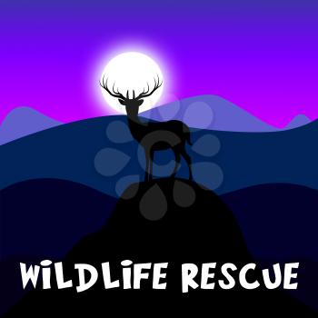 Wildlife Rescue Mountain Scene Shows Preserve Animals 3d Illustration