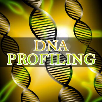 Dna Profiling Helix Shows Genetic Fingerprinting 3d Illustration
