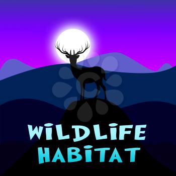 Wildlife Habitat Mountain Scene Shows Outdoors Reserve 3d Illustration