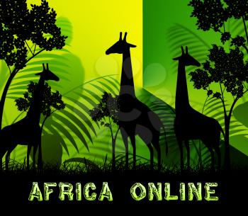Africa Online Giraffes Means Wildlife Reserve 3d Illustration