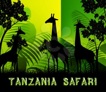 Tanzania Safari Giraffes Showing Wildlife Reserve 3d Illustration