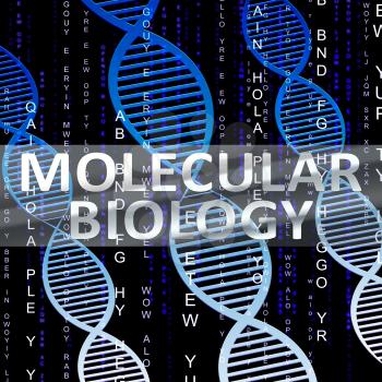 Molecular Biology Helix Shows Dna Research 3d Illustration