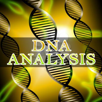 Dna Analysis Helix Shows Genetic Research 3d Illustration