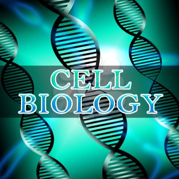 Cell Biology Helix Shows Biotech Research 3d Illustration