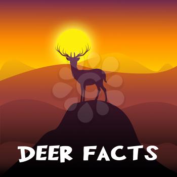Deer Facts Mountain Scene Shows Stag Information 3d Illustration