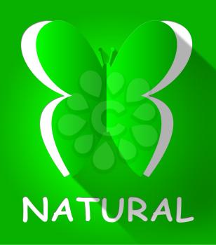Natural Butterfly Cutout Shows Organic Nature 3d Illustration