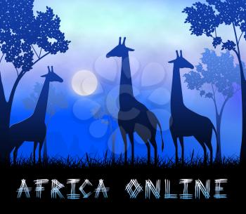 Africa Online Giraffes Showing Wildlife Reserve 3d Illustration