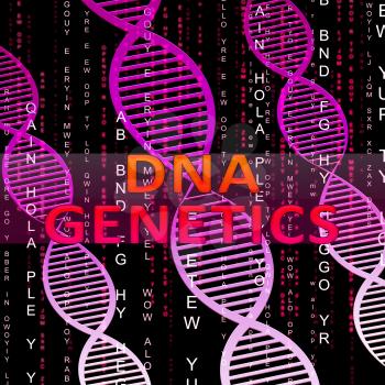 Dna Genetics Helix Means Biotech Science 3d Illustration