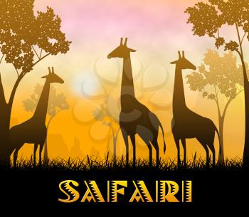 Safari Park Giraffes Showing Wildlife Reserve 3d Illustration