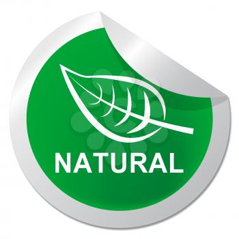 Natural Sticker Shows Green Organic Nature 3d Illustration