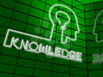 Knowledge Brain Showing Know How And Wisdom 3d Illustration