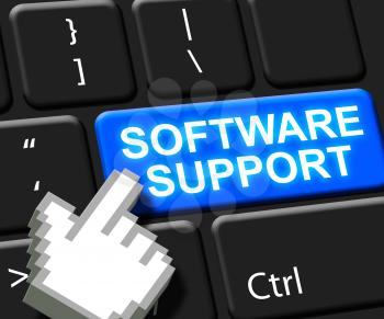 Software Support Key Showing Online Assistance 3d ILlustration