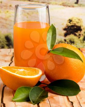 Orange Juice Drink Representing Natural Tropical And Refreshing