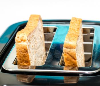 Bread Toaster Representing Morning Meal And Toasting