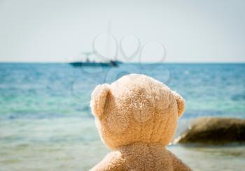 Teddy Bear Looking Out To Sea From Beach