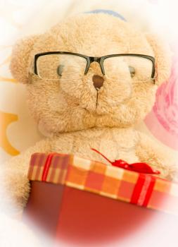 Teddy Bear Just Got A Gift Box