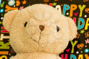 Teddy Bear On His Birthday Enjoying It