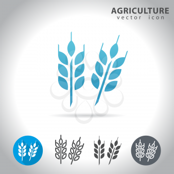 Agriculture icon set, collection of wheat icons, vector illustration